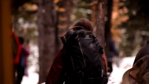 HIkers Stock Footage 101986770