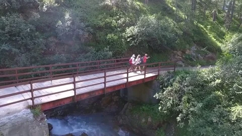 Hikers in forest on bridge Stock Footage 77954023
