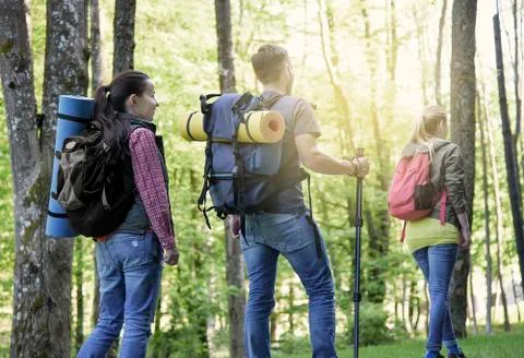 Hikers in forest. Stock Photos