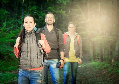 Hikers in forest. Stock Photos