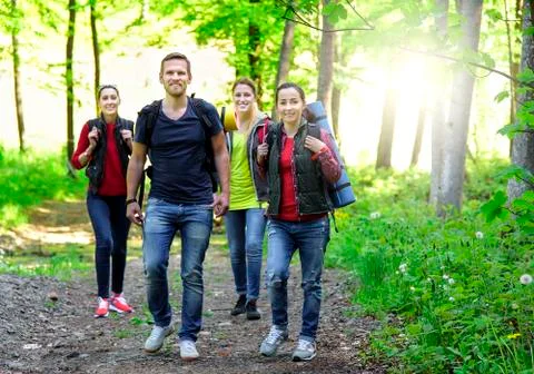 Hikers in forest. Stock Photos