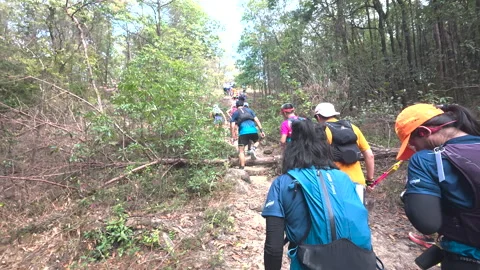 Hikers going up a mountain path in China Stock Footage 303943433