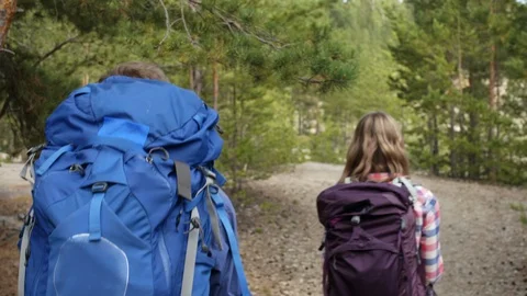 Hikers going through forest Stock Footage 118541159