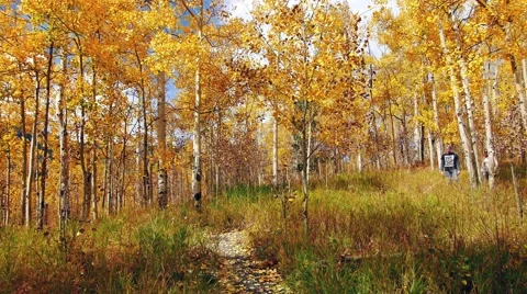 Hikers Hiking during fall Stock Footage 55534197