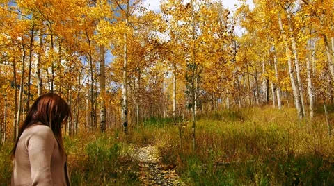 Hikers Hiking during fall Stock Footage 55534202