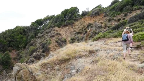 Hikers on the mountain Video stock 74990877