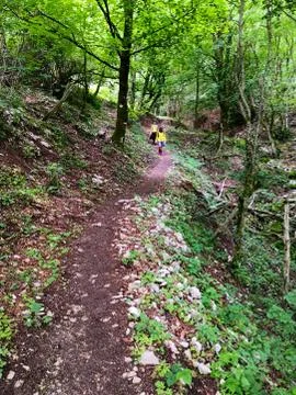 Hikers on a mountain path Stock Photos