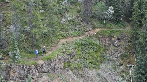 Hikers on mountain trail Canada P HD 1372 Stock Footage 11148434