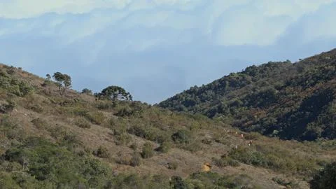 Hikers on a Mountain Trail with Cloudy Background Stock-Fotos