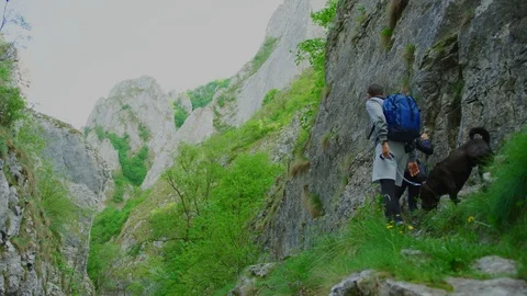 Hikers on a mountain trail Stock Footage 99963474