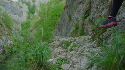 Hikers on a mountain trail Stock Footage 99963514