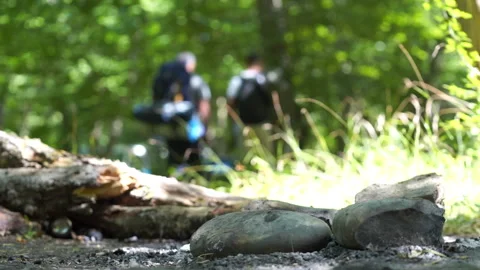 Hikers Moving Through Forest with Backpacks Stock Footage 313344419