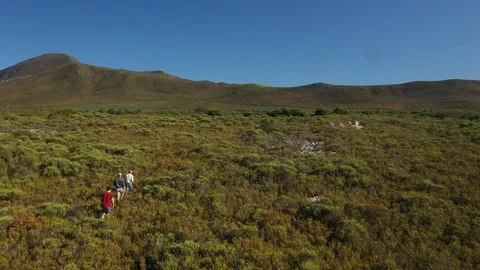Hikers in nature Stock Footage 127895416