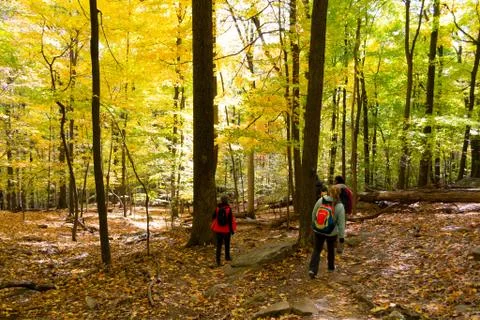 Hikers o the fall Stock Photos