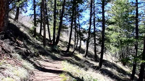 Hikers Passing Through Stock Footage 48915307