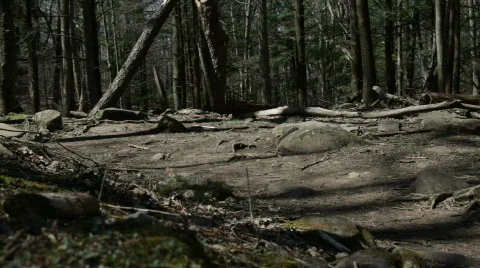 Hikers on Path 스톡 동영상 671257