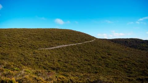 Hikers path in vegetation Stock Photos