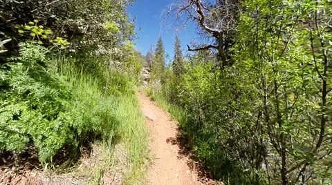 Hikers Point of View Stock Footage 48805646