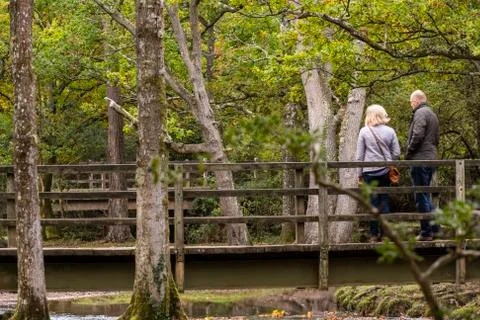 Hikers Puttles Bridge Stock Photos