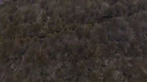 Hikers on a Ridge Video stock 69293814