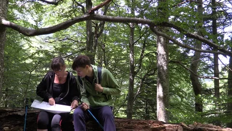 Hikers sitting down on log in mountain forest and consulting map Stock Footage 99138426