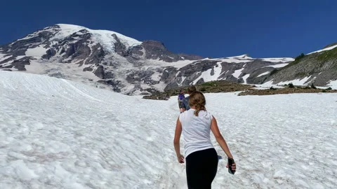 Hikers on Skyline Trail in Mount Rainier National Park Stock Footage 138320341