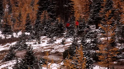 Hikers in snow Stock Footage 101986680