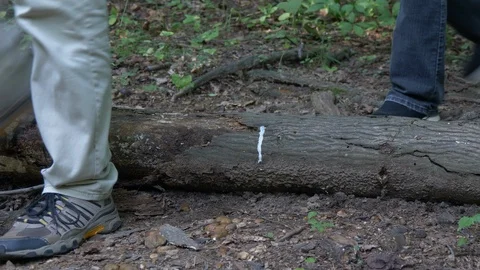 Hikers step over log on trail1 動画素材 94227746