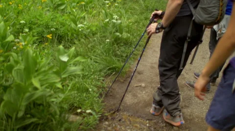 Hikers stop to look at plants Stock Footage 58955792