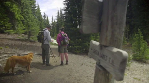 Hikers take a look at their map Stock Footage 59060510