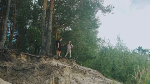 Hikers talk about scenery, Two explorers venture cliff area, Group of hikers Stock Footage 323492647