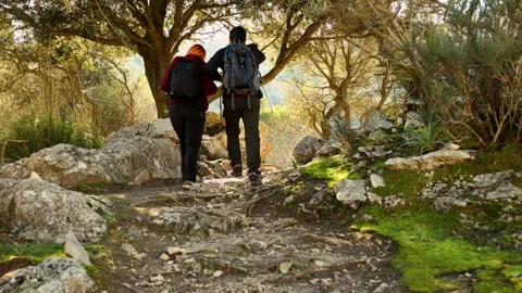 Hikers talking while climbing a mountain on a rocky path amidst trees on a .. Stock Footage 296637385