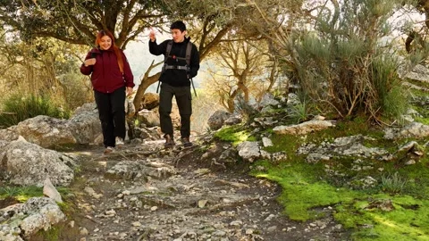 Hikers talking while walking on a rocky path amidst trees Stock Footage 296637386