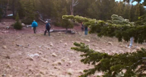 Hikers with tree moving in foreground Vídeos de archivo 132345001