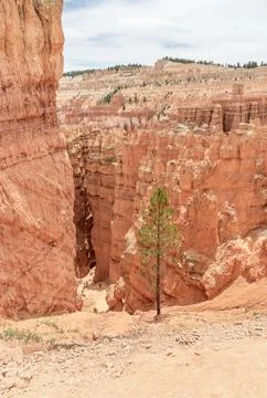 Hikers (unrecognizable) on a zig-zag Trail in Bryce Canyon National Park, Utah Stock-Fotos