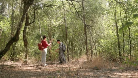 Hikers using map and compass navigating in forest Stock Footage 316287367