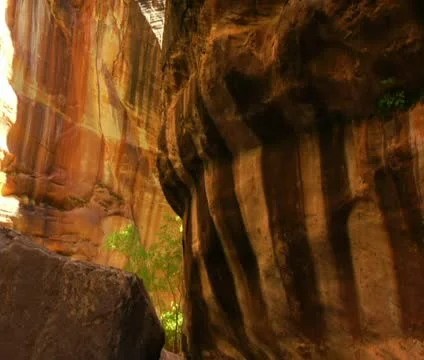 Hikers wade hip-deep through canyon river Stock Footage 21683737