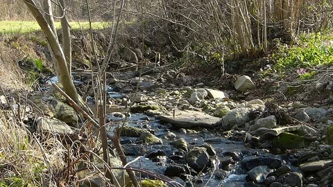 Hikers wading a stream. Walk in springtime. Stock Footage 73729044