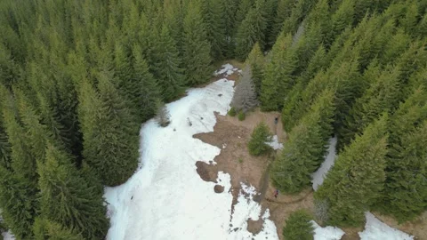 Hikers walk along a path in the forest, among trees and snow. Top view from.. Stock Footage 242297998