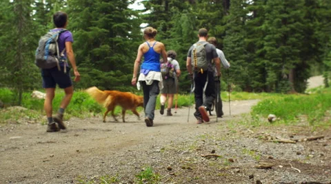 Hikers walk away from camera Video stock 58824264