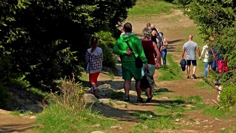 Hikers walk down a path in a countryside Stock Footage 73413711
