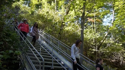 Hikers walk down trail of stairs Stock Footage 74070455