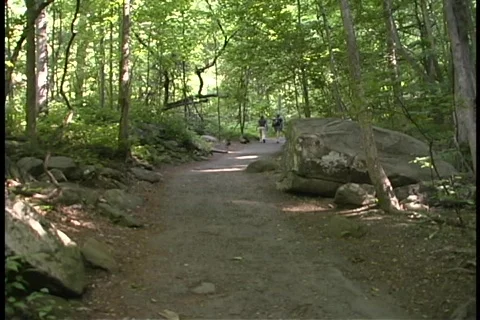 Hikers walk up mountain trail Stock Footage 140372