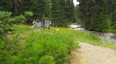 Hikers walk toward the camera Stock Footage 58824761