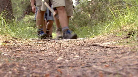 Hikers walk towards camera. Video stock 110039