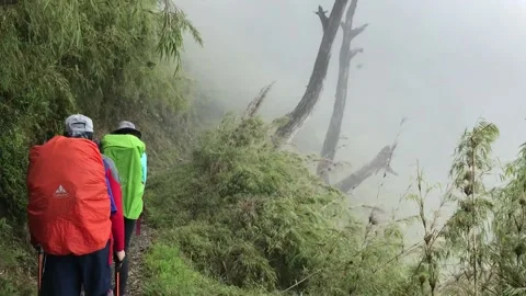 Hikers walking alone the small path in the jade mountain 스톡 동영상 134007669