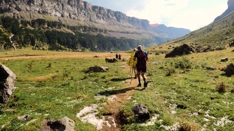 Hikers walking down trail in Ordesa natural park, Spain 動画素材 252081253