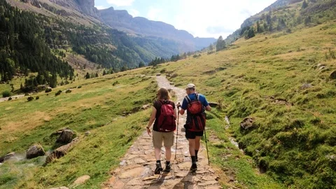 Hikers walking down trail in Ordesa natural park, Spain Stock Footage 252081286