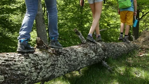 Hikers walking on fallen tree log, descending in a valley Video stock 89904342