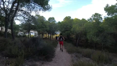 Hikers walking in group at mountain forests and pathways. Stock Footage 171477880